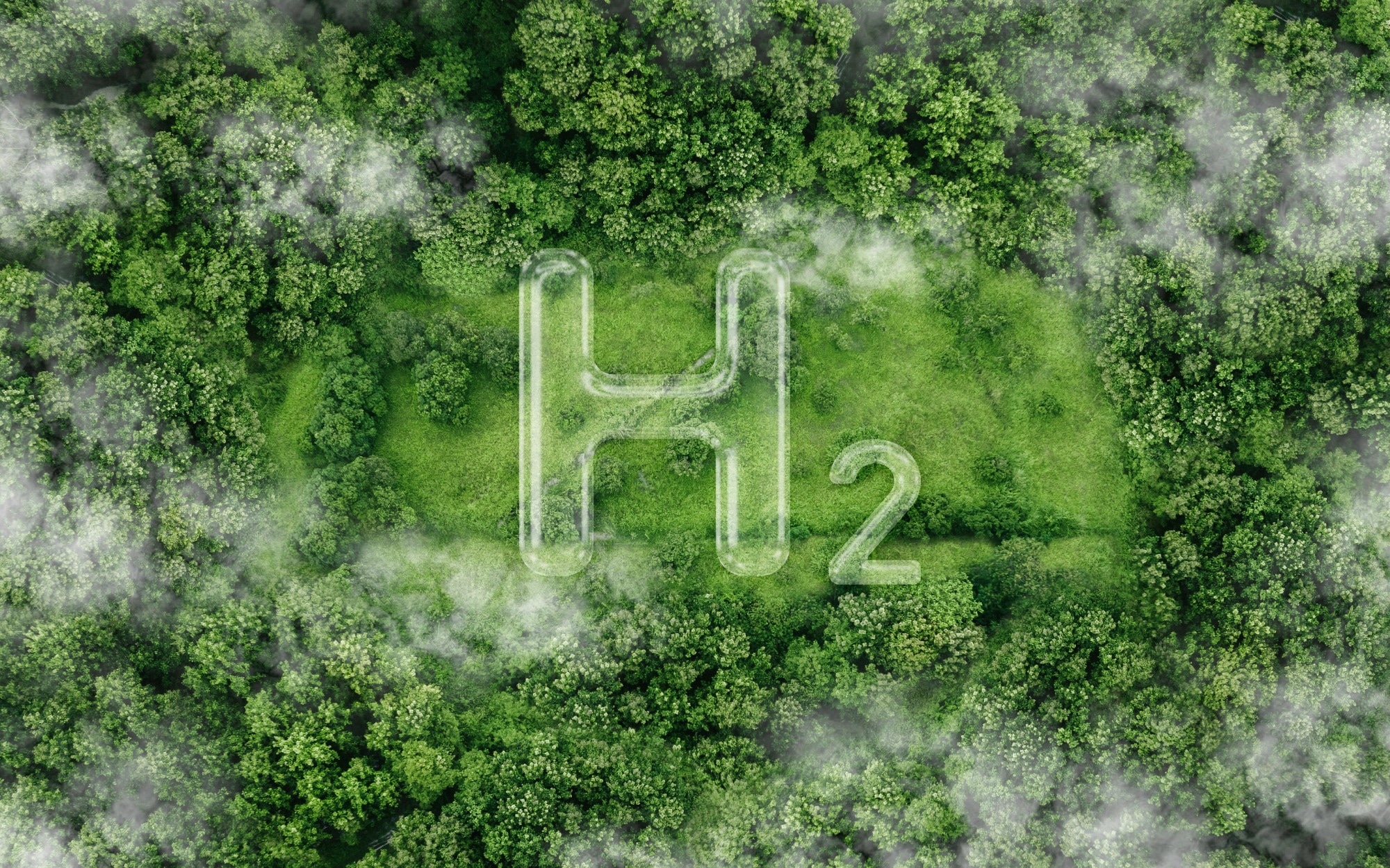 H2 symbol on the green in the forest.