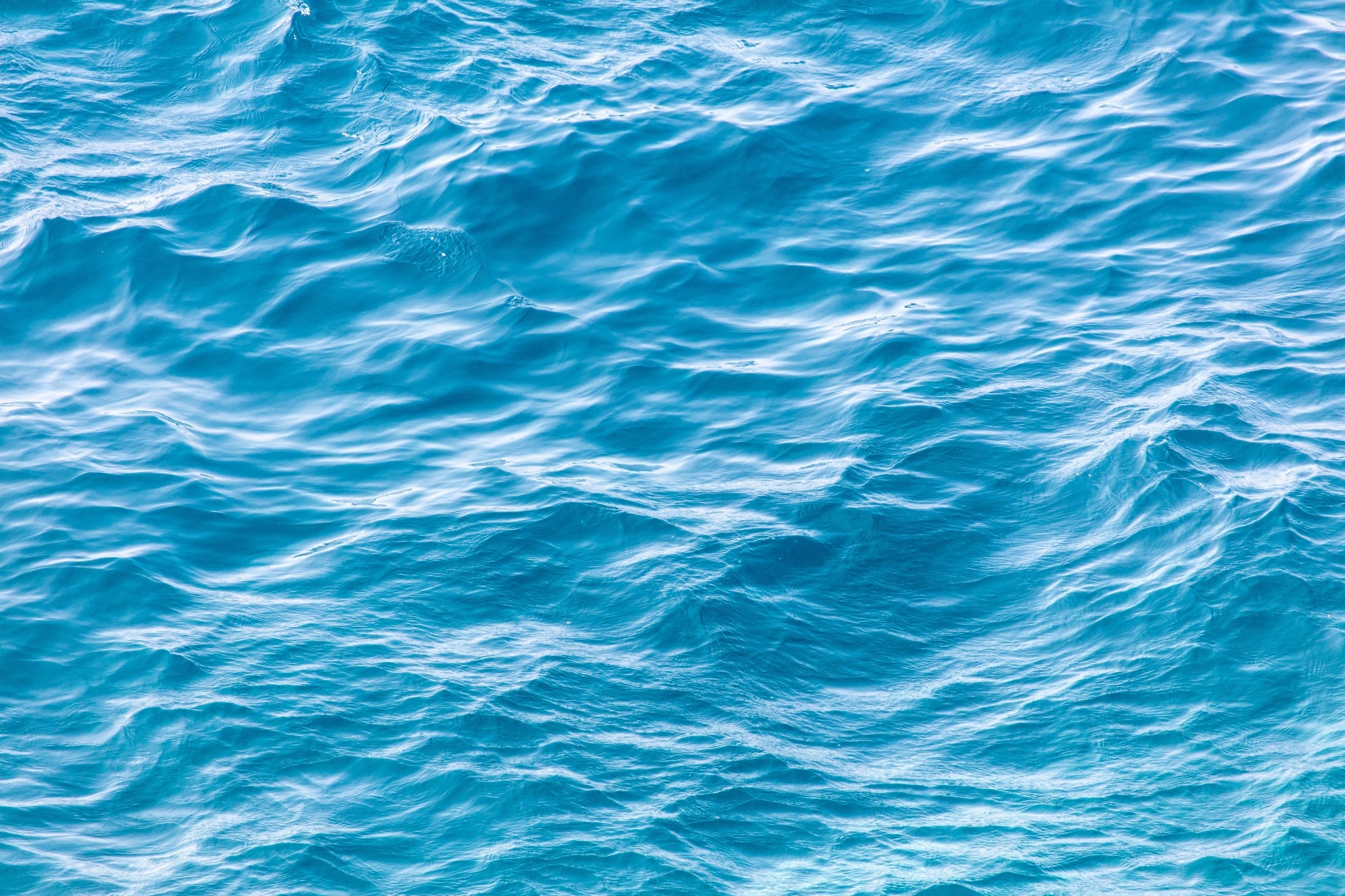Blue expanse of water at sea