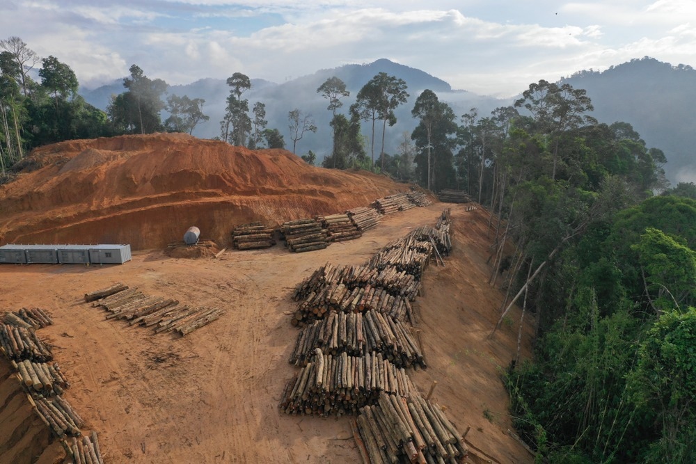 deforestation for evs
