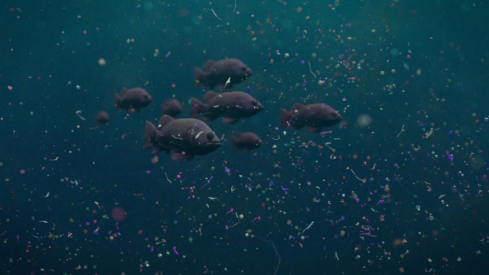 fish swimming in microplastics