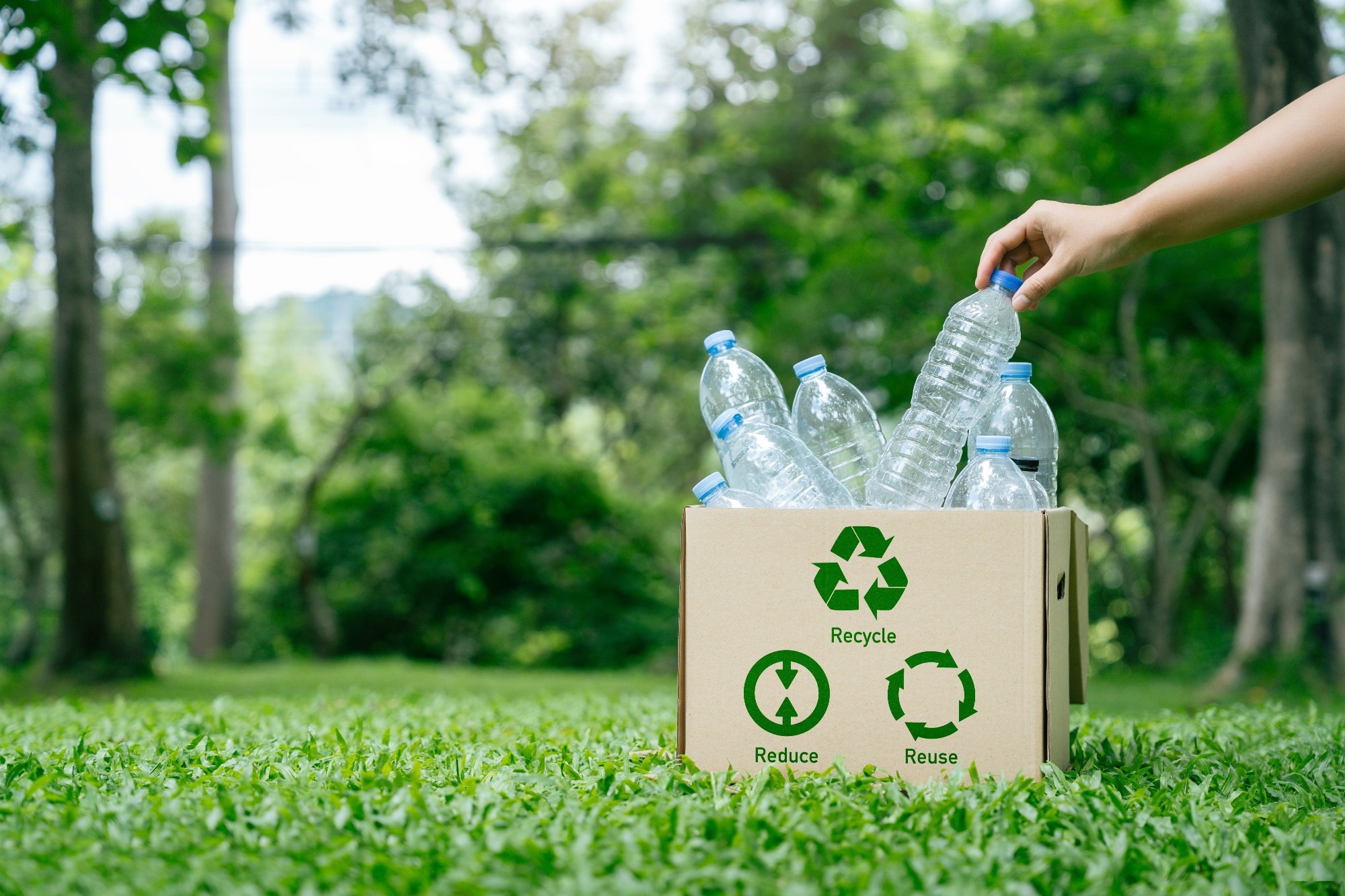 Innovative Korean Technology Converts Plastic Waste to Clean Hydrogen Fuel