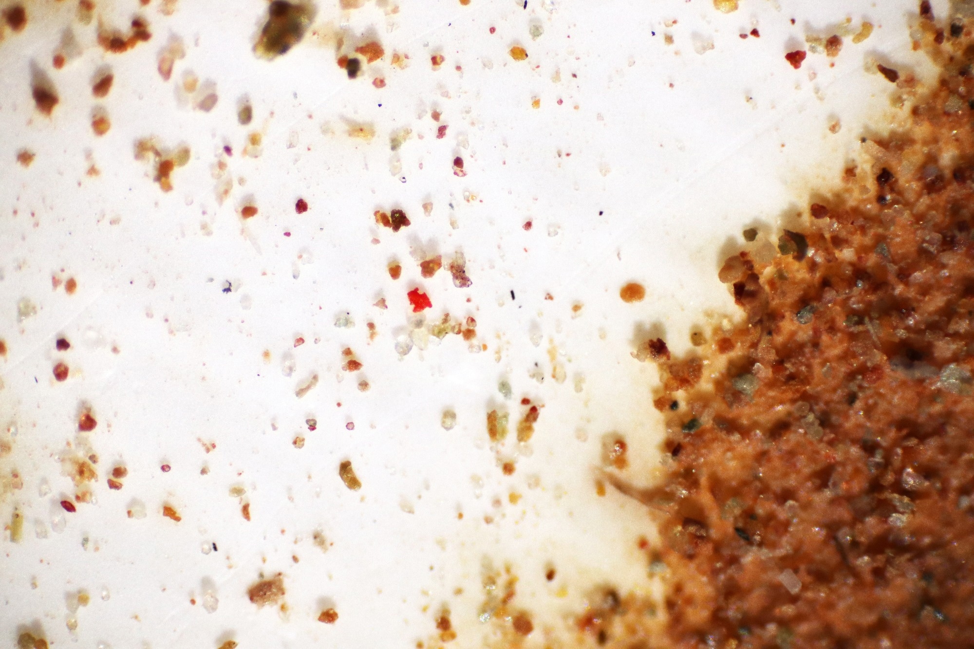 microplastics in soil under microscope