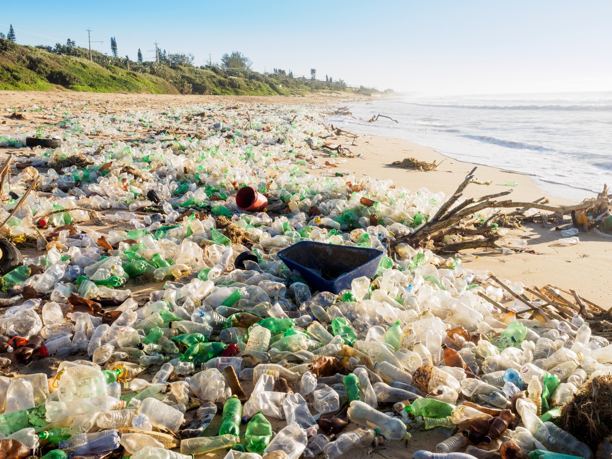 plastic bottles washed up