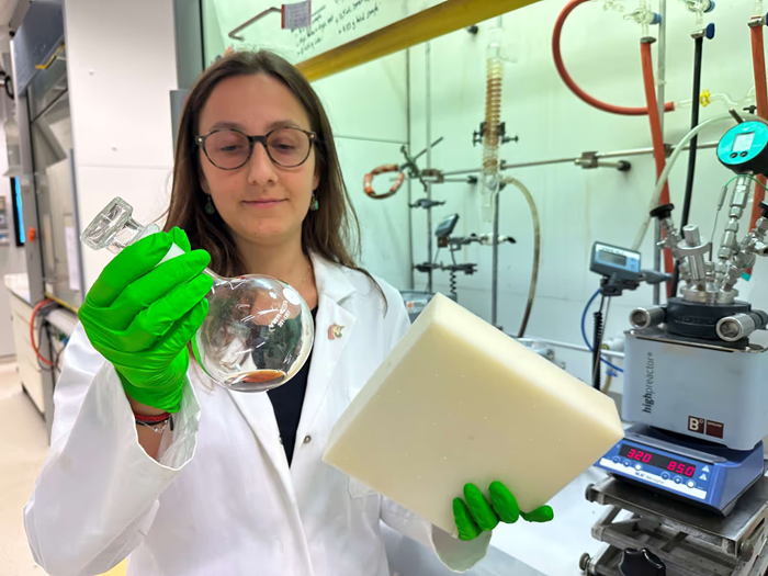Image of a researcher from the team holding the sponge.