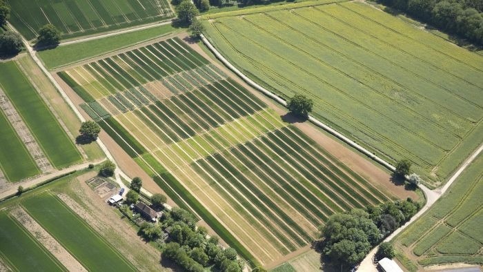 Fertiliser Boosts Soil’s Ability to Lock Away Carbon