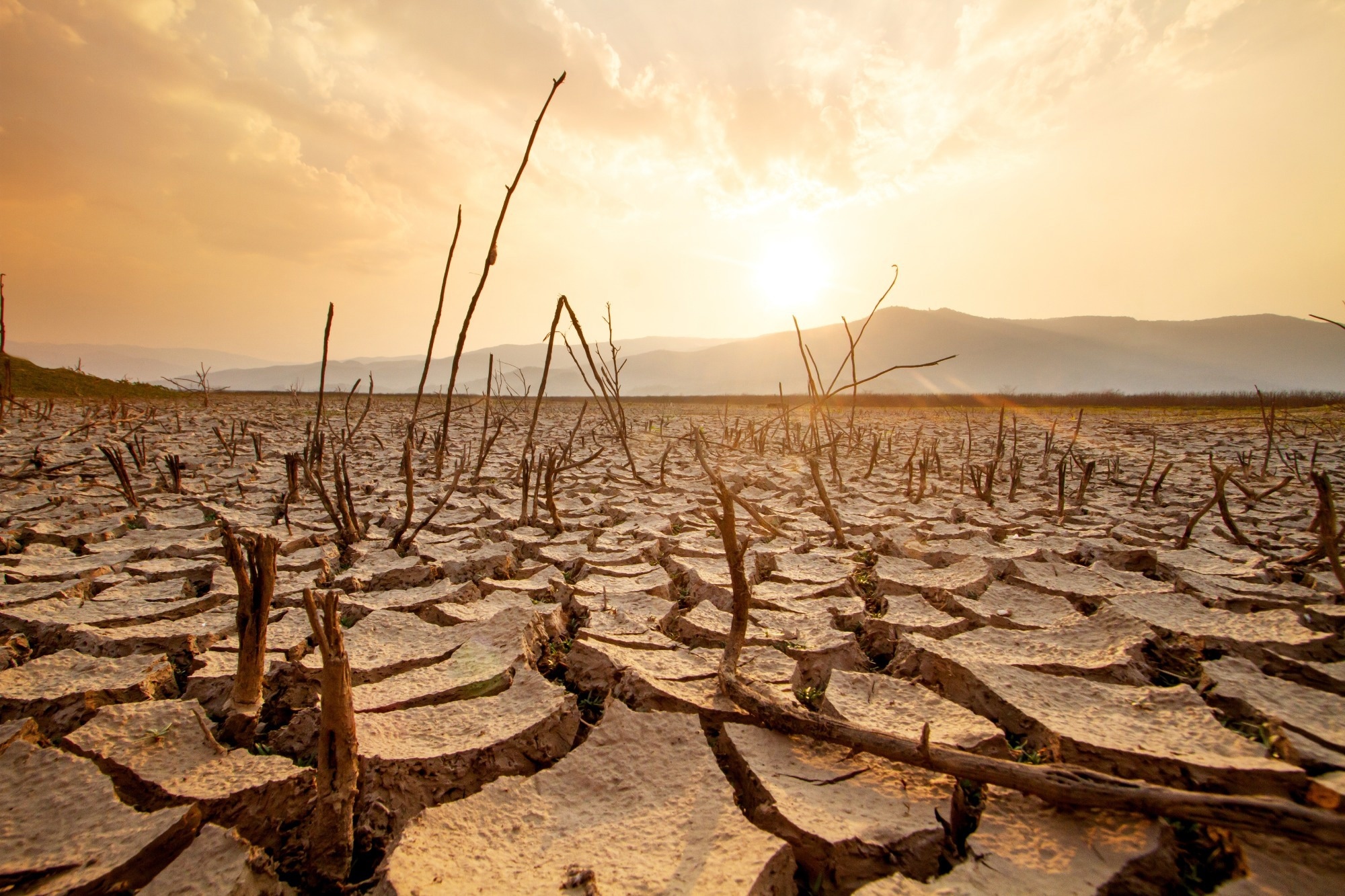climate tipping point