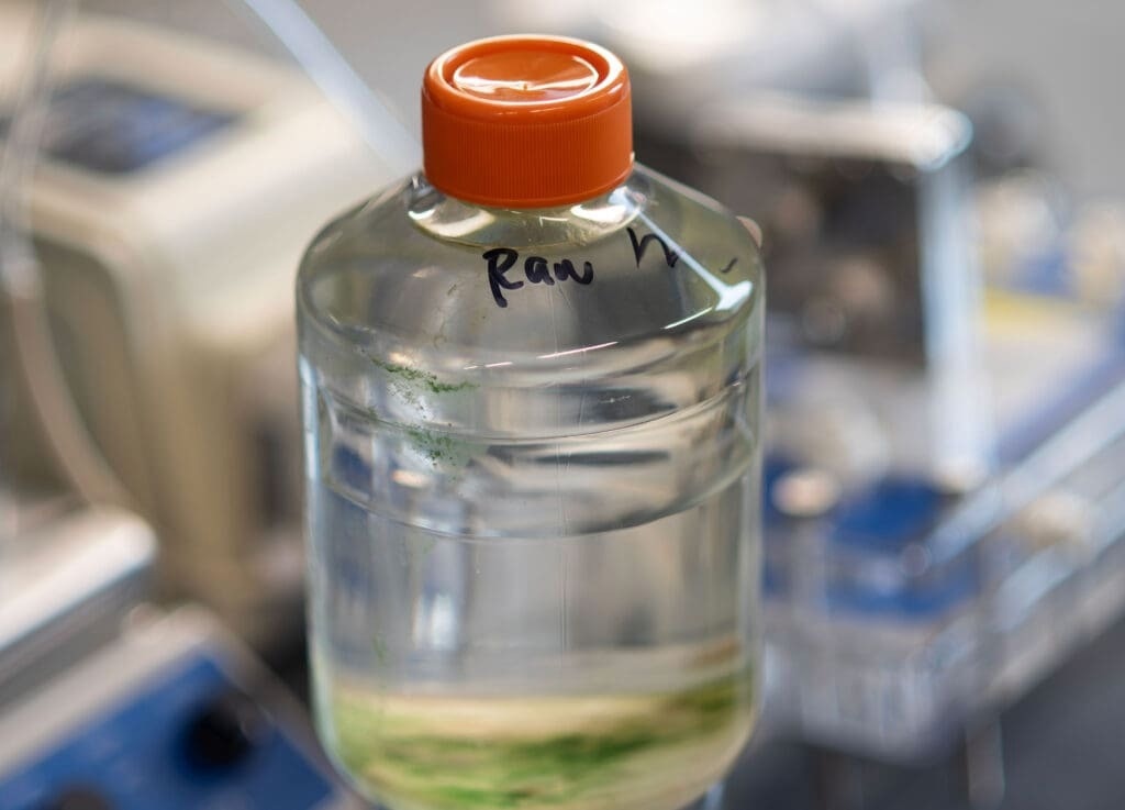 reclaimed wastewater