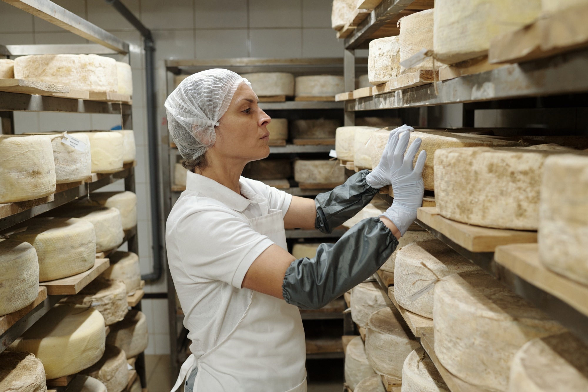 A woman wearing gloves and protection assesses a cheese wheel.