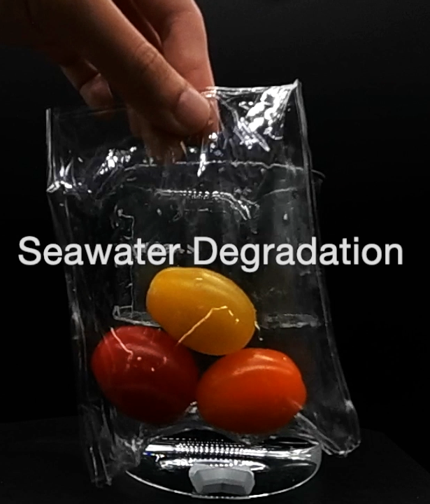 Plant-Based Plastic is Adjustable, Flexible, and Easily Decomposes
