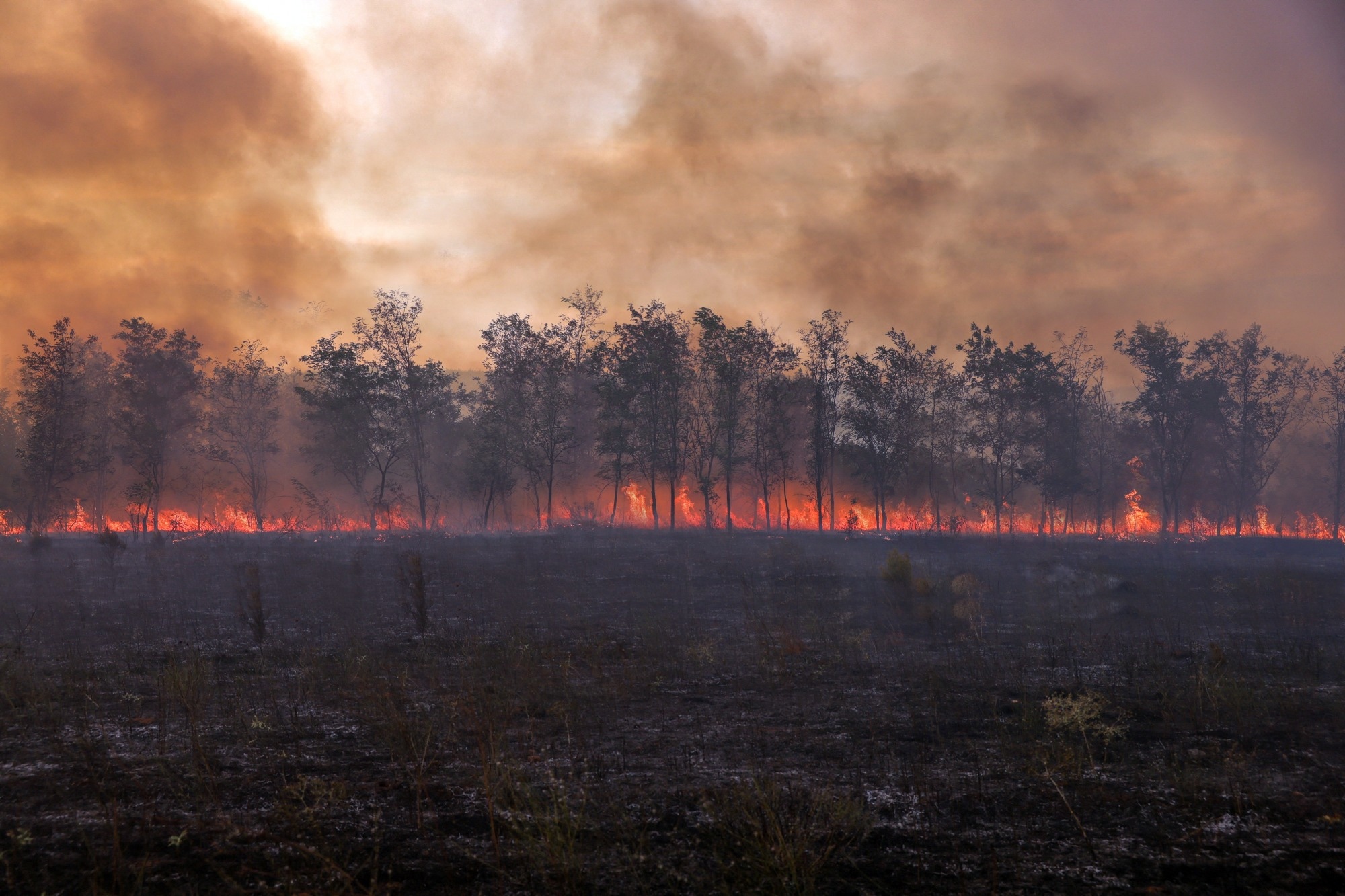 Shrinking Recovery Windows: Understanding Repeated Wildfire Smoke Exposure