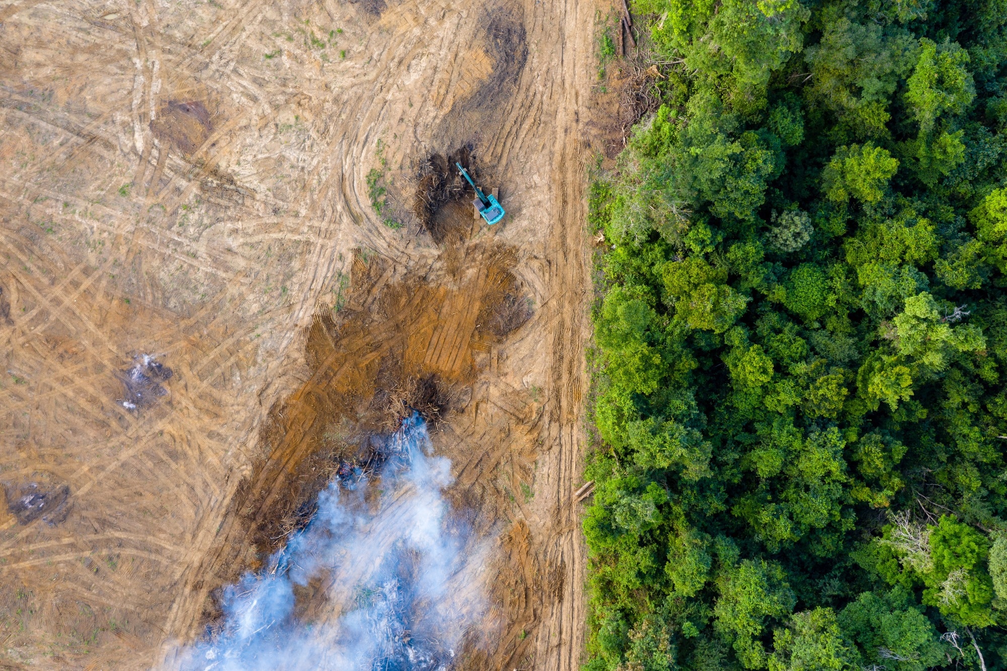 New Research Exposes Global Impact of Agriculture on Forest Loss and Emissions