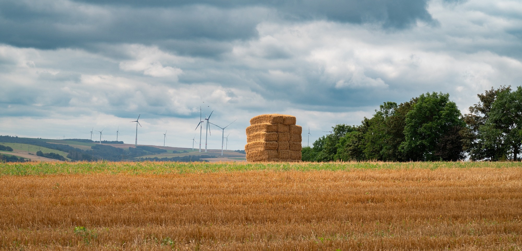 Agricultural Straw Can Help Reduce Greenhouse Gas Emissions