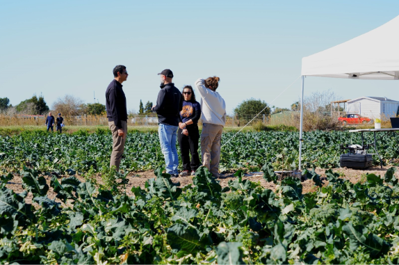 Growing More with Less Water in a Warming Mediterranean