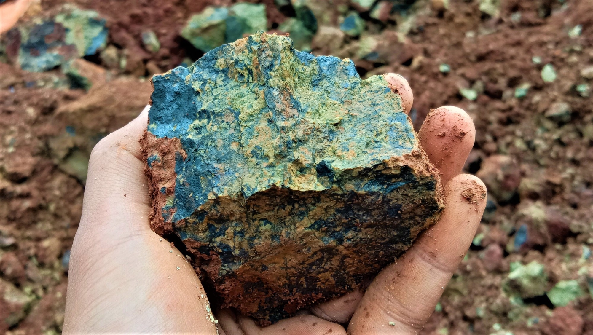 Nickel Demand Could Harm Land and Marine Conservation Areas
