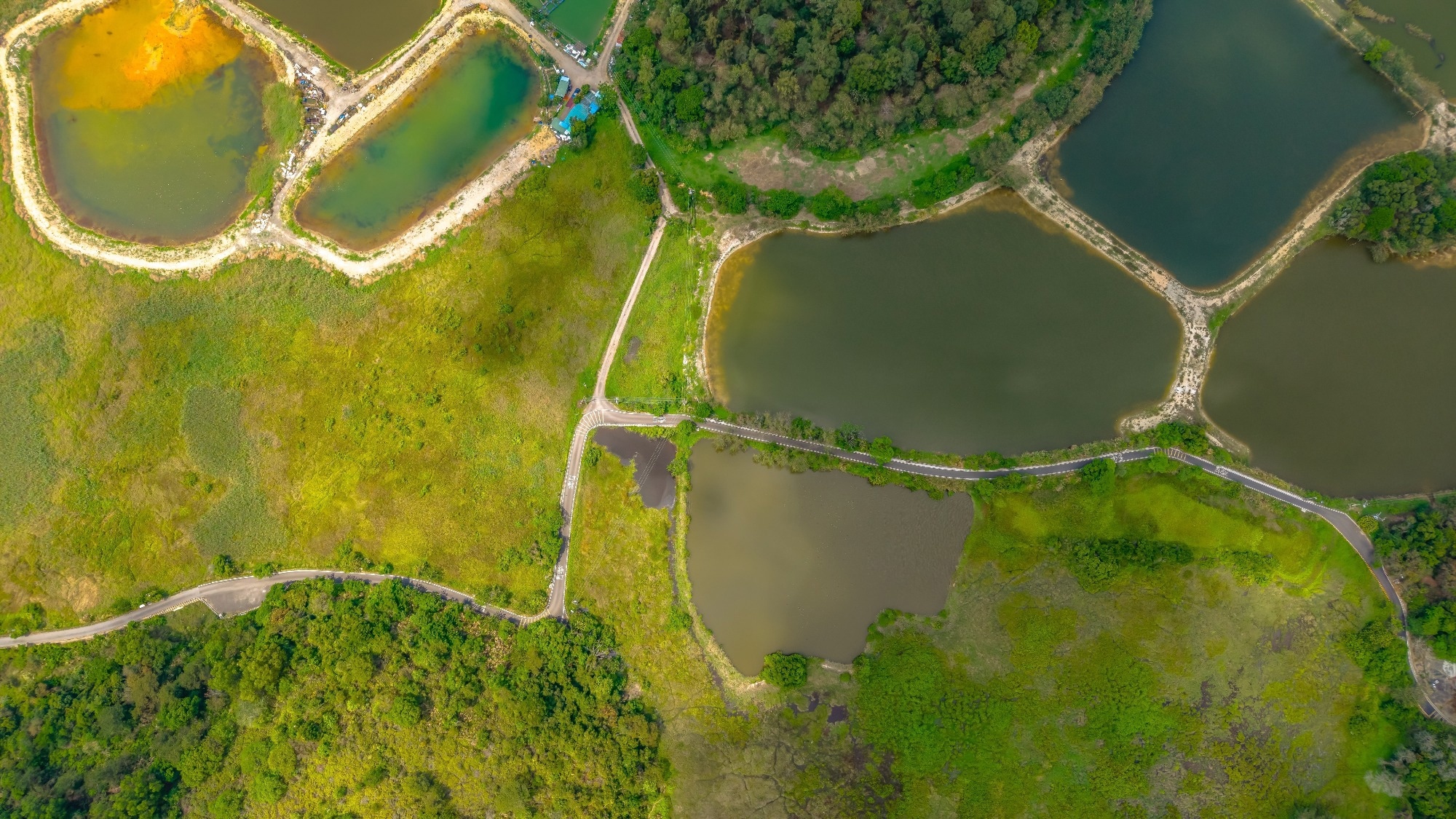 aquaculture pond from above