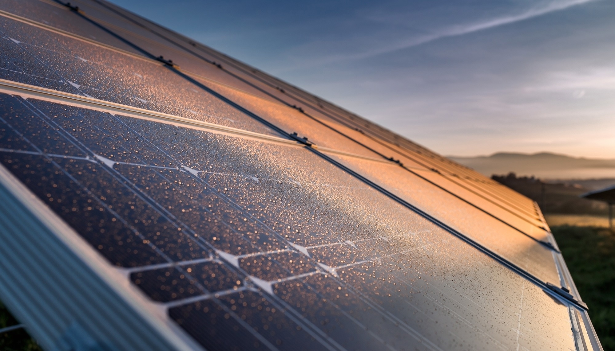 Thermal-Decoupled Selenization Unlocks Record-Efficiency Kesterite Solar Cells