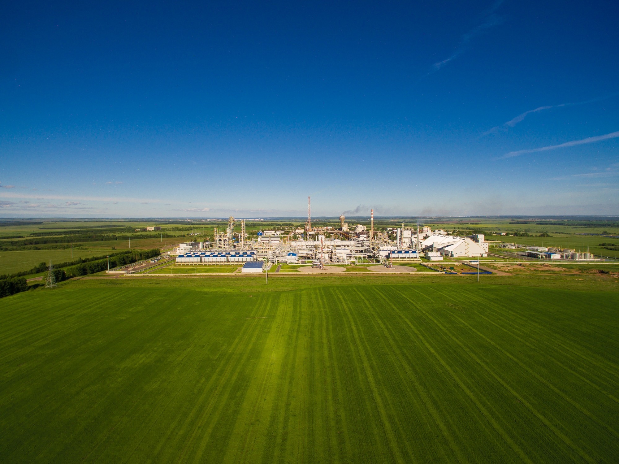 green field with fertilizer