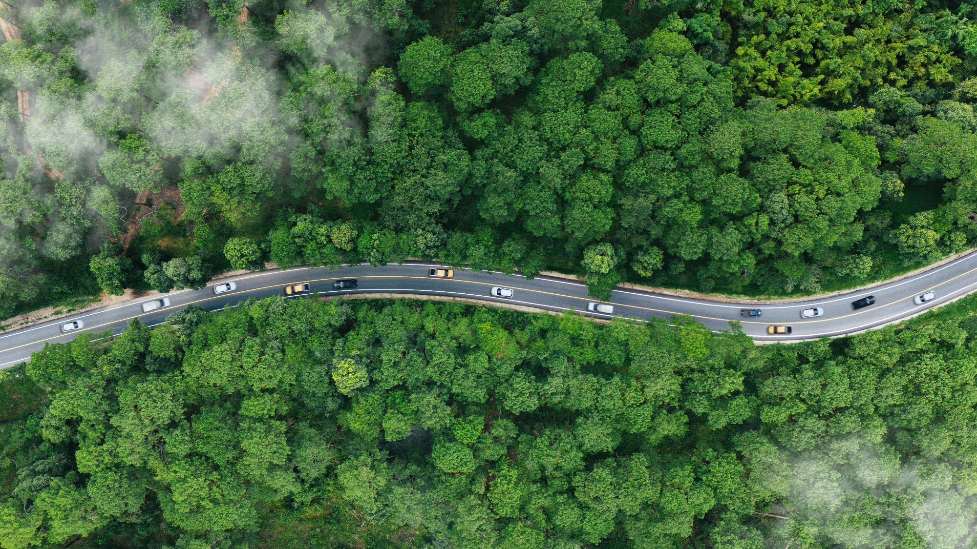 Winding road with lush green forests either side