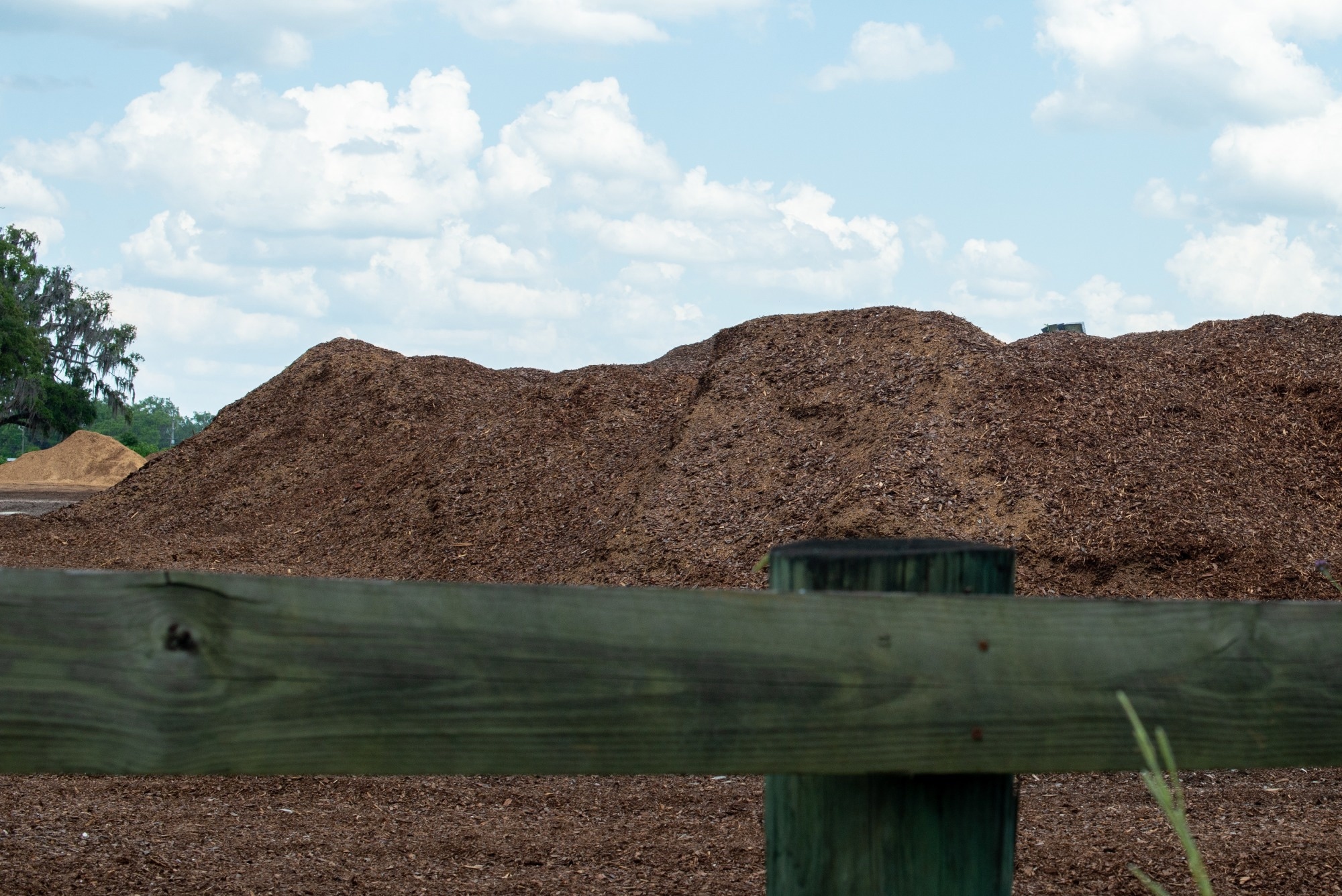 biomass waste in a large pile