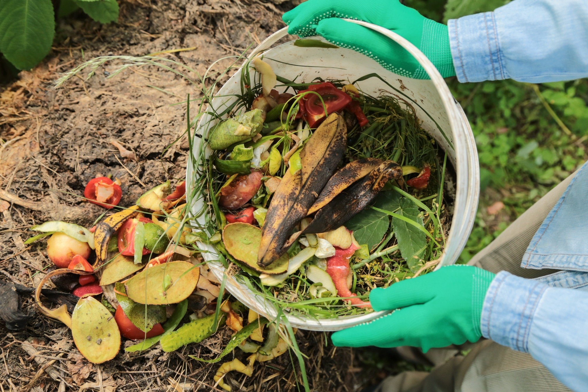 organic waste, methane reduction