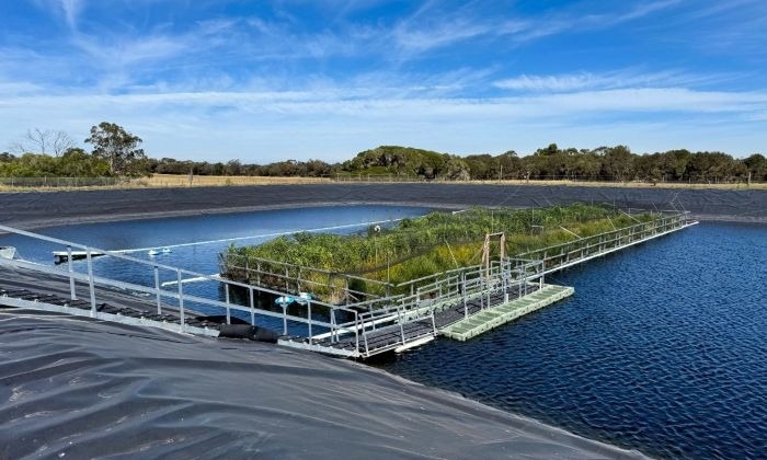 Floating Wetlands Slash Wastewater Greenhouse Gas Emissions: Study
