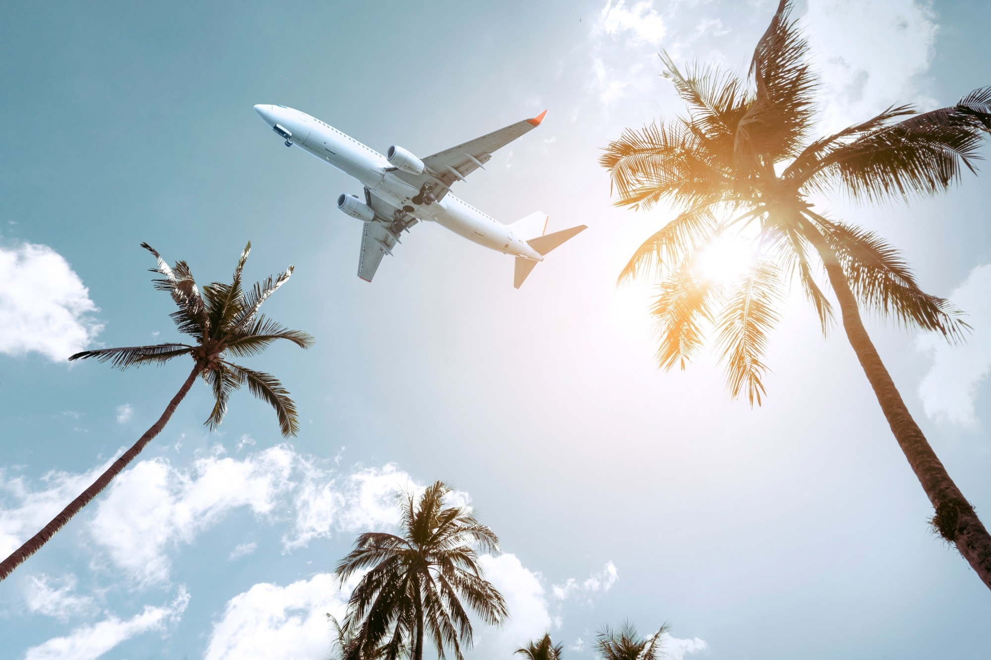Coconut Oil Biofuels Tested as Sustainable Aviation Fuel Alternatives