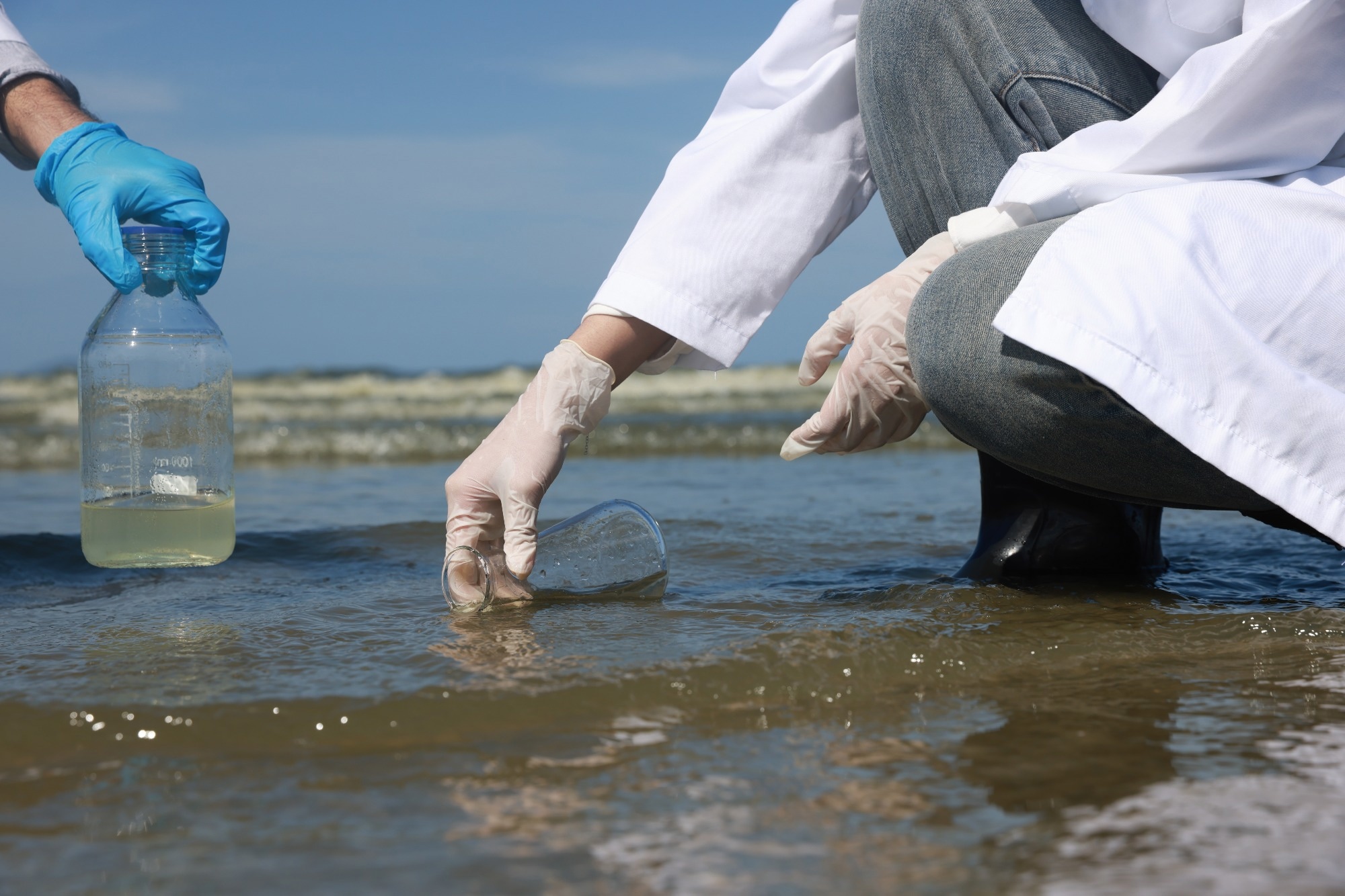 co2, acidification