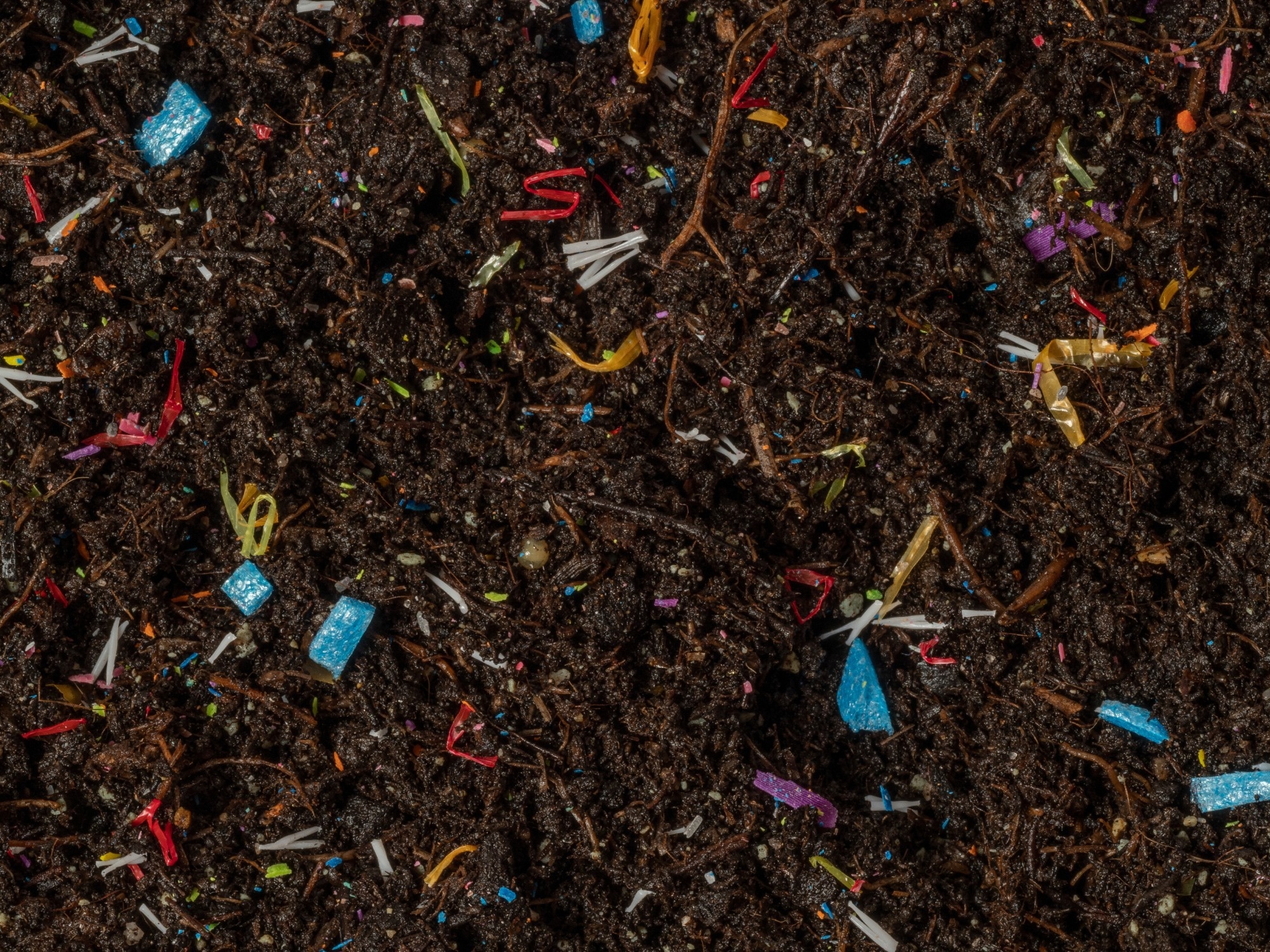 Microplastics in soil  - soil contaminated with mineral microplastics