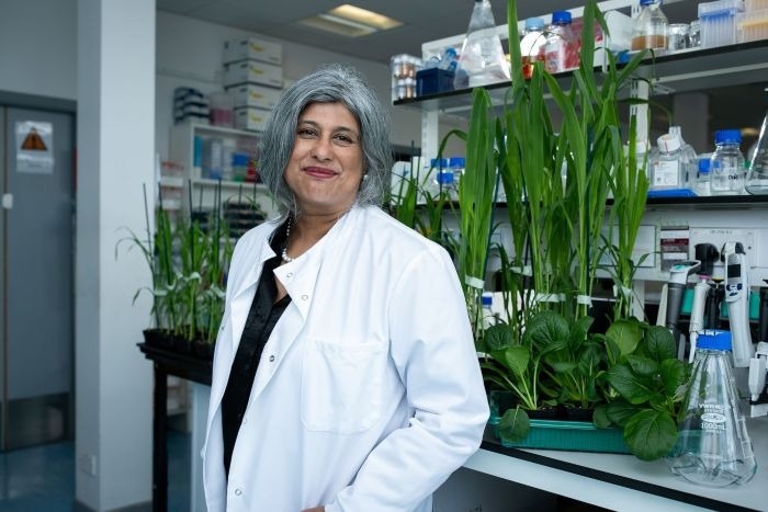 SOLASTA® Bio Hits US Regulatory Milestone as Field Demo Beats Decade-High Whitefly Surge
