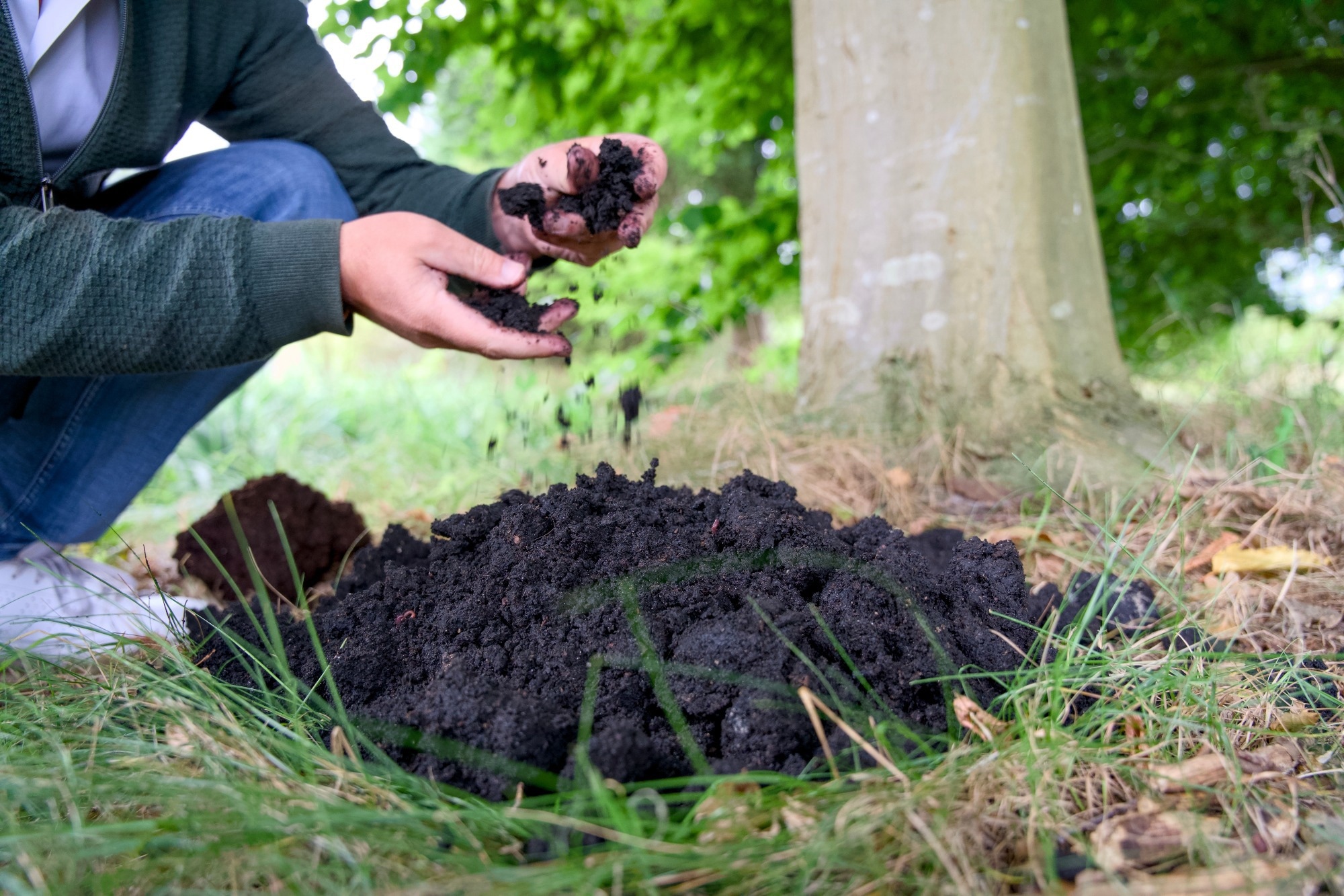 Nuclear-Era Carbon Reveals Biochar’s Long-Term Storage Potential