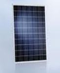 SCHOTT Poly 220 W Polycrystalline Solar Module from SCHOTT