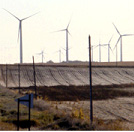 Demand for Stork Testing Services for Wind Farms Growing