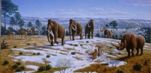 Woolly Mammoths Driven to Extinction by Climate Change and Human Impacts