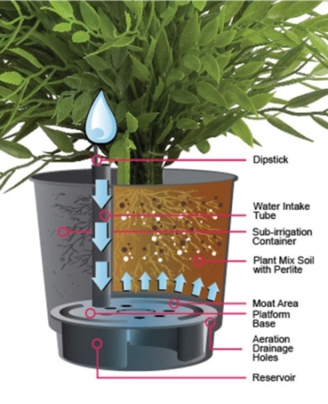 Eco Grow Pots Enable Cost-Effective and Eco-Friendly Way of Gardening