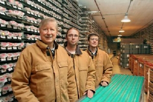 Antarctica's Potential Responses to Future Climate Changes