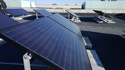 Green Guide for Universities Released at International Conference