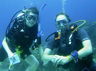 Corals May Be Better Equipped to Tolerate Climate Change
