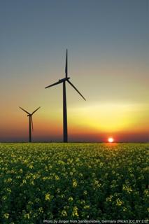 Putting a Price on Greenhouse Gasses Could Curb Emissions, Nurture Growth of Renewable Energy