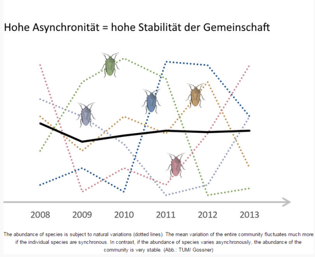 Scientists Highlight Importance of Asynchrony in Stability of Ecosystems