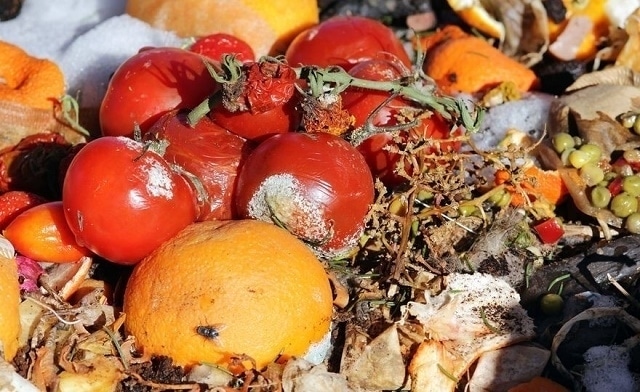 Researchers Present Study on Mitigating Climate Change by Reducing Food Waste