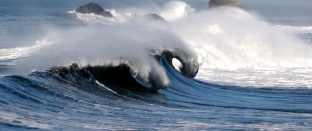 Ocean Bacteria Release Massive Amounts of Sulfur Gases that Influence Earth’s Climate