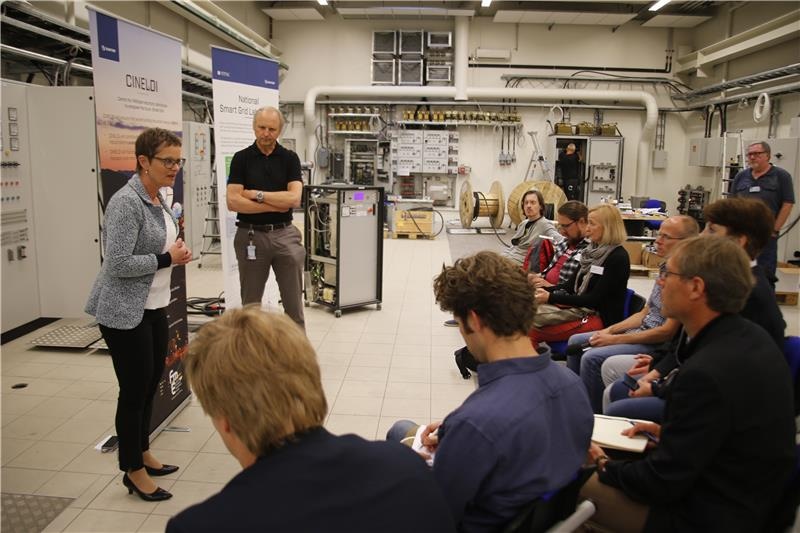 CINELDI Research Centre Aims to Empower Smart Grids for Robust, Intelligent Energy Systems