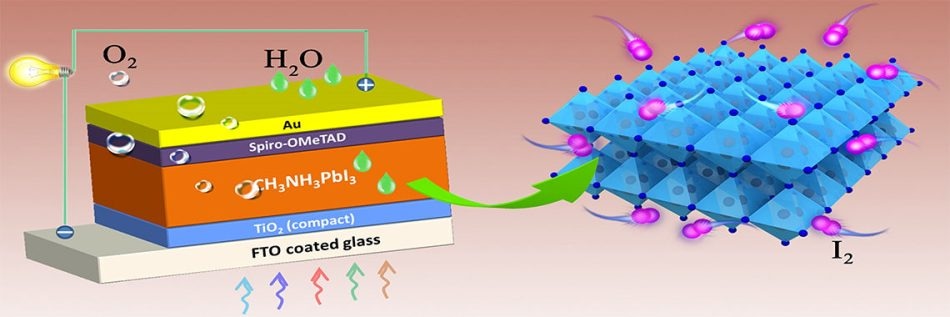 Perovskite solar cell