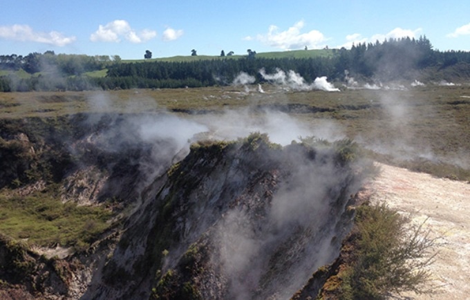 Researchers Use Gas-Guzzling Bacteria to Tackle Methane Emissions