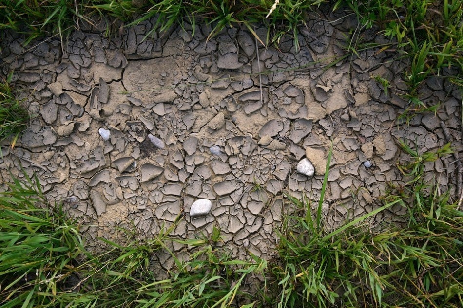 Experts Predict Far-Reaching Effects of Drought and Heatwave on Soil Ecosystem