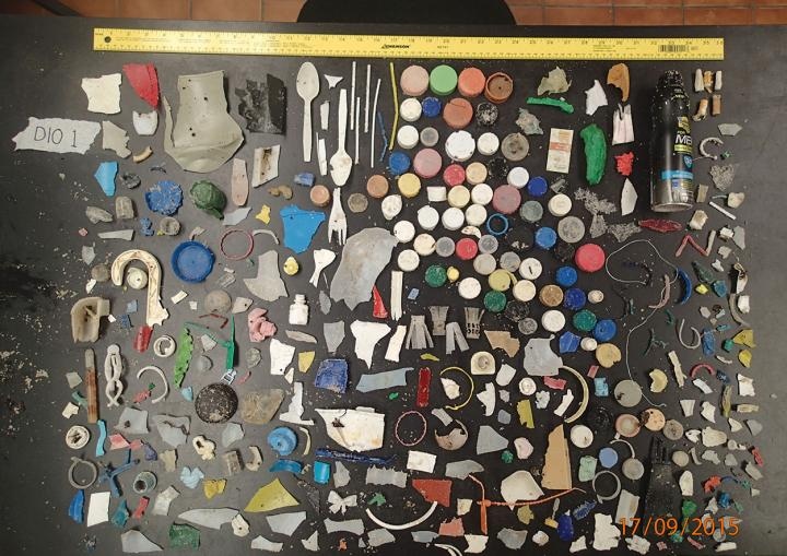 Researchers Study and Document Trash Accumulation Along Gulf of Mexico Shorelines