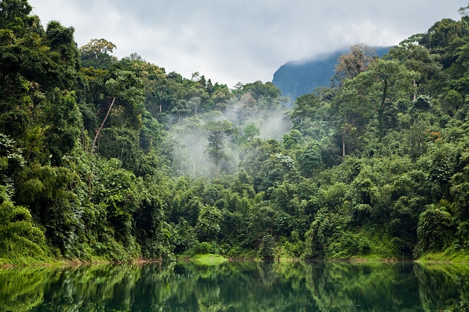 Researchers Identify Restoration Hotspots to Boost Climate and Environment
