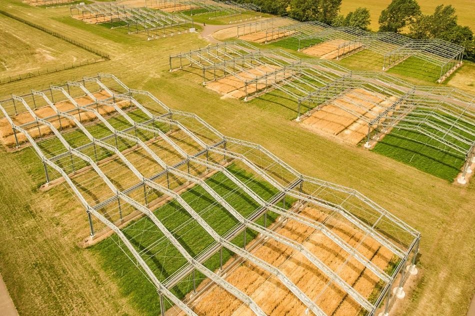 Realistic Experiments Needed to Analyze Impact of Climate Change on Ecosystems
