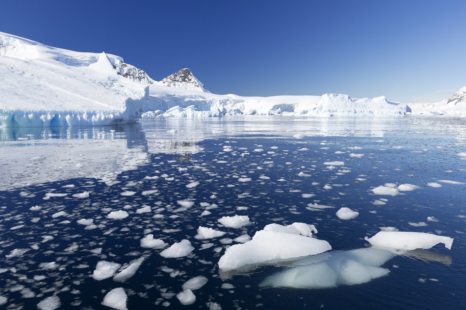 antarctic sea
