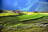 Acid Rain Reduces Greenhouse Gas Emissions from Rice Paddies